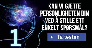 Kan vi gjette personligheten din ved å stille ett enkelt spørsmål?