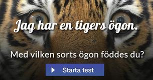 Med vilken sorts ögon föddes du?