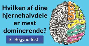 Hvilken af dine hjernehalvdele er mest dominerende?