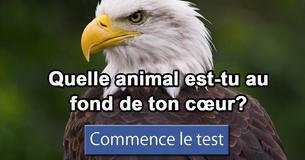 Quelle animal est-tu au fond de ton cœur?