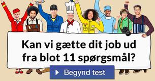 Kan vi gætte dit job ud fra blot 11 spørgsmål?