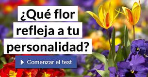 ¿Qué flor refleja a tu personalidad?