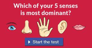 Which of your 5 senses is most dominant?