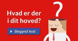Hvad er der i dit hoved?