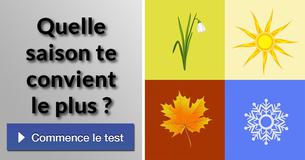 Quelle saison te convient le plus ?