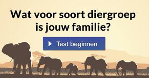 Wat voor soort diergroep is jouw familie?