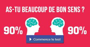 As-tu beaucoup de bon sens ?