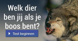 Welk dier ben jij als je boos bent?