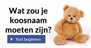 Wat zou je koosnaam moeten zijn?