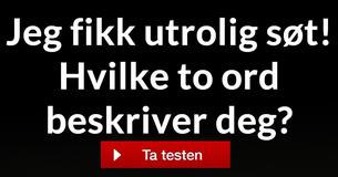 Hvilke to ord beskriver deg?