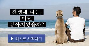 전생에 나는, 어떤 강아지였을까?