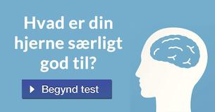 Hvad er din hjerne særligt god til?