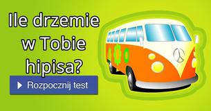 Ile drzemie w Tobie hipisa?