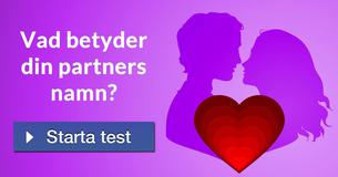 Vad betyder din partners namn?