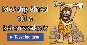 Meddig élnéd túl a kőkorszakot?