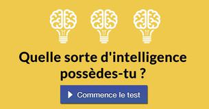 Quelle sorte d'intelligence possèdes-tu ?