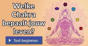 Welke Chakra bepaalt jouw leven?