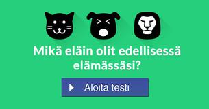 Mikä eläin olit edellisessä elämässäsi?