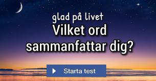 Vilket ord sammanfattar dig?