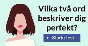 Vilka två ord beskriver dig perfekt?