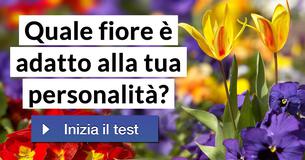 Quale fiore è adatto alla tua personalità? 