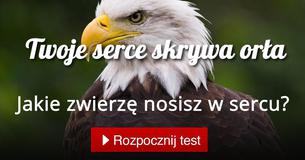 Jakie zwierzę nosisz w sercu?