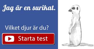 Vilket djur är du?
