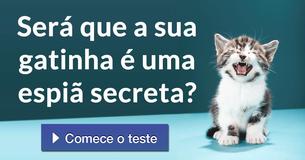 Será que a sua gatinha é uma espiã secreta?