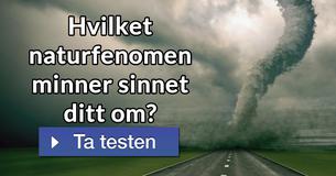Hvilket naturfenomen minner sinnet ditt om?