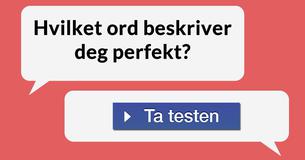 Hvilket ord beskriver deg perfekt?