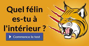 Quel félin es-tu à l'intérieur ?
