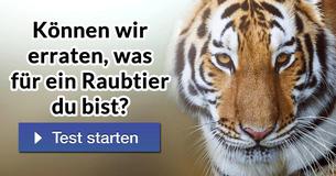 Können wir erraten, was für ein Raubtier du bist?