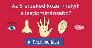Az 5 érzéked közül melyik a legdominánsabb?