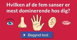 Hvilken af de fem sanser er mest dominerende hos dig?