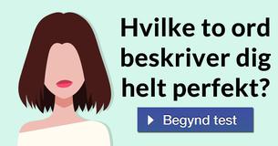 Hvilke to ord beskriver dig helt perfekt?