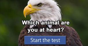Which animal are you at heart?