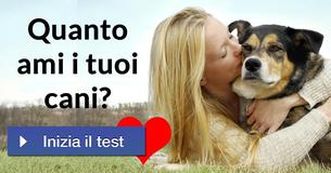 Quanto ami i tuoi cani?