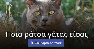 Ποια ράτσα γάτας είσαι;