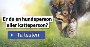 Er du en hundeperson eller katteperson?