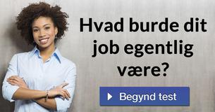 Hvad burde dit job egentlig være?