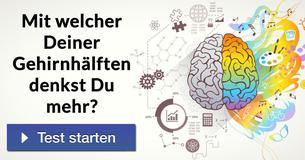 Mit welcher Deiner Gehirnhälften denkst Du mehr?