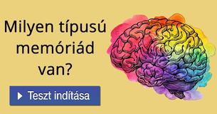 Milyen típusú memóriád van?