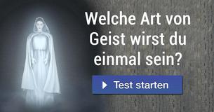 Welche Art von Geist wirst du einmal sein?