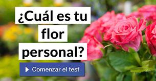 ¿Cuál es tu flor personal?