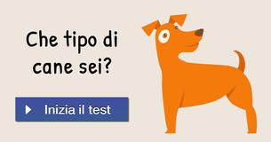 Che tipo di cane sei?