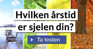 Hvilken årstid er sjelen din?