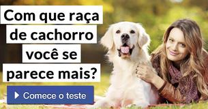 Com que raça de cachorro você se parece mais?