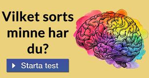 Vilket sorts minne har du?