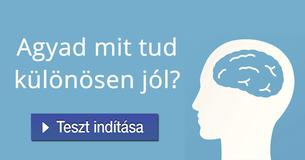 Agyad mit tud különösen jól?