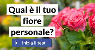 Qual è il tuo fiore personale?  